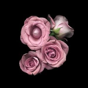 Meet your Posher, Scarlett